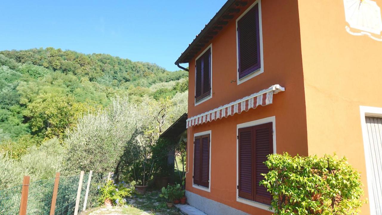 Casetta Di Butia, Ginestra Apartment With Swimming Pool Борго-а-Моццано Екстер'єр фото