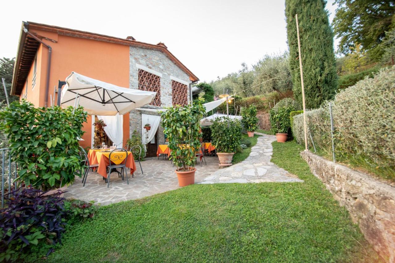 Casetta Di Butia, Ginestra Apartment With Swimming Pool Борго-а-Моццано Екстер'єр фото