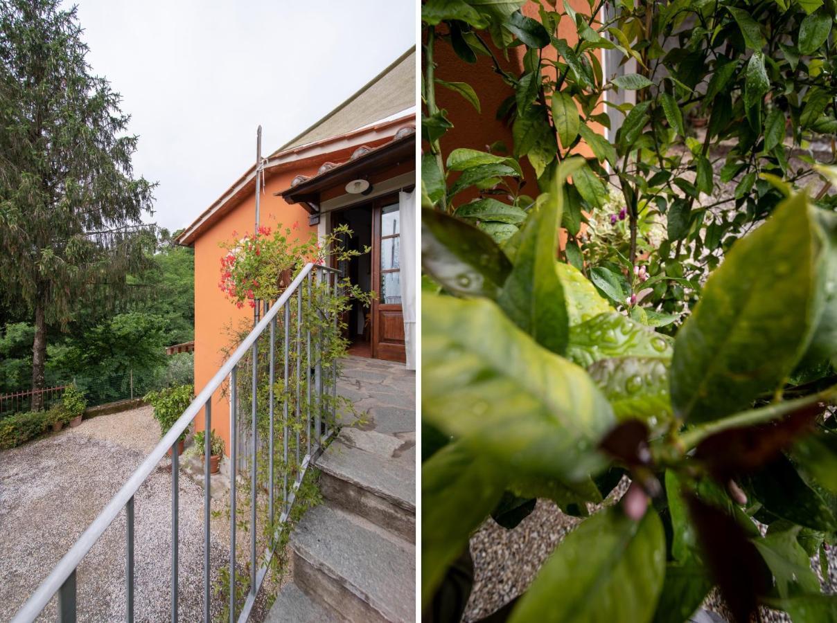 Casetta Di Butia, Ginestra Apartment With Swimming Pool Борго-а-Моццано Екстер'єр фото