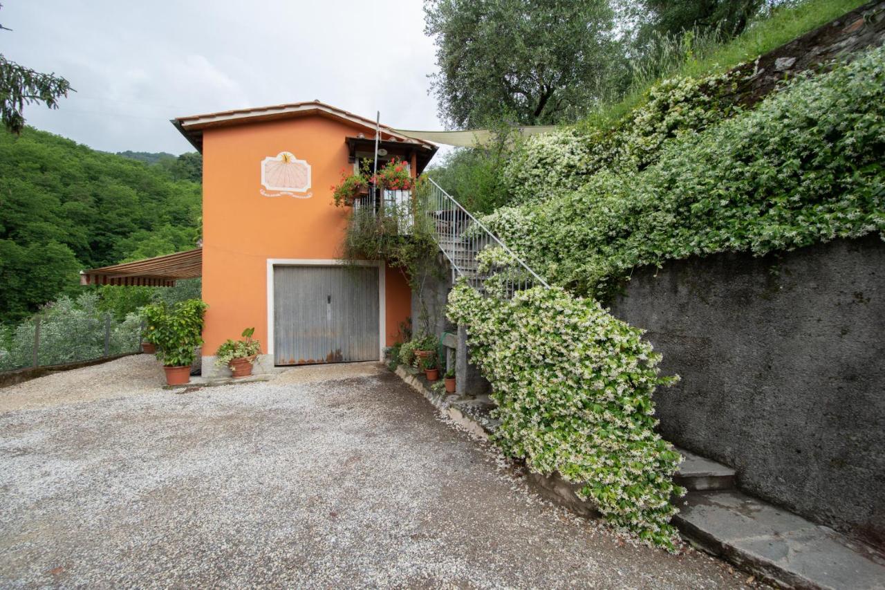 Casetta Di Butia, Ginestra Apartment With Swimming Pool Борго-а-Моццано Екстер'єр фото